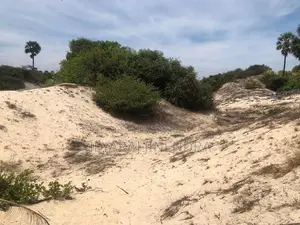 3 Acre Land for Sale Kilinochchi District-Poonakary