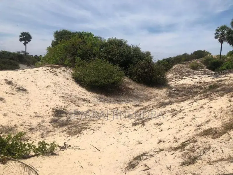 3 Acre Land for Sale Kilinochchi District-Poonakary