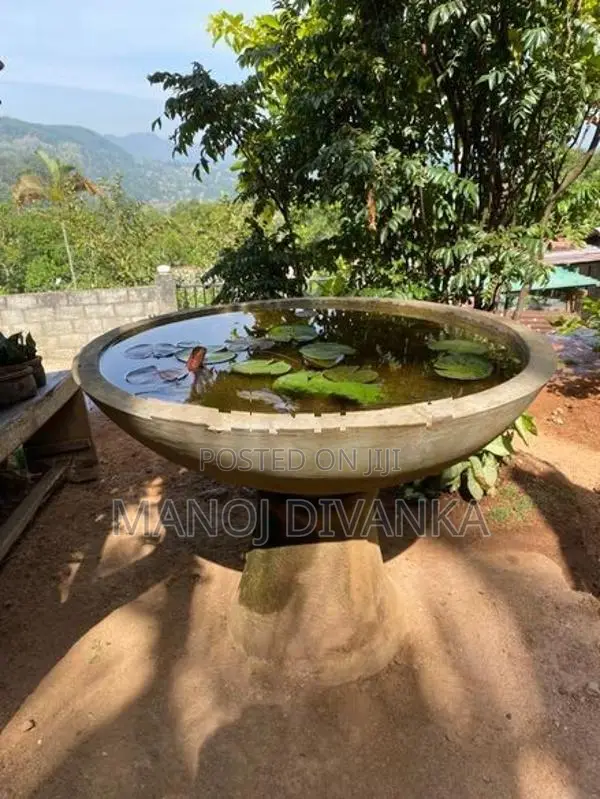 Lotus pond