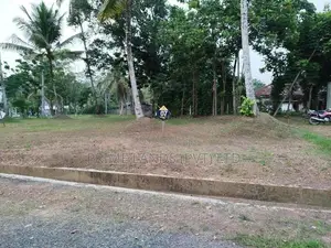 ආටිගල බටවල පාරෙන් බිම් කොටස් විකිණීමට