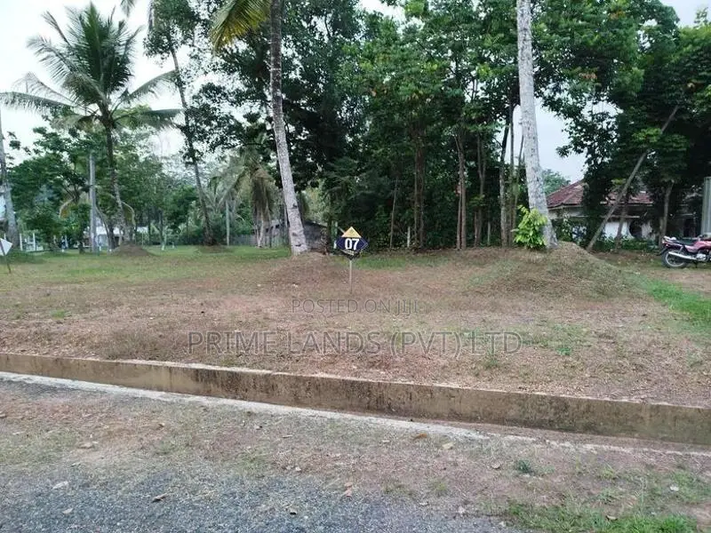 ආටිගල බටවල පාරෙන් බිම් කොටස් විකිණීමට