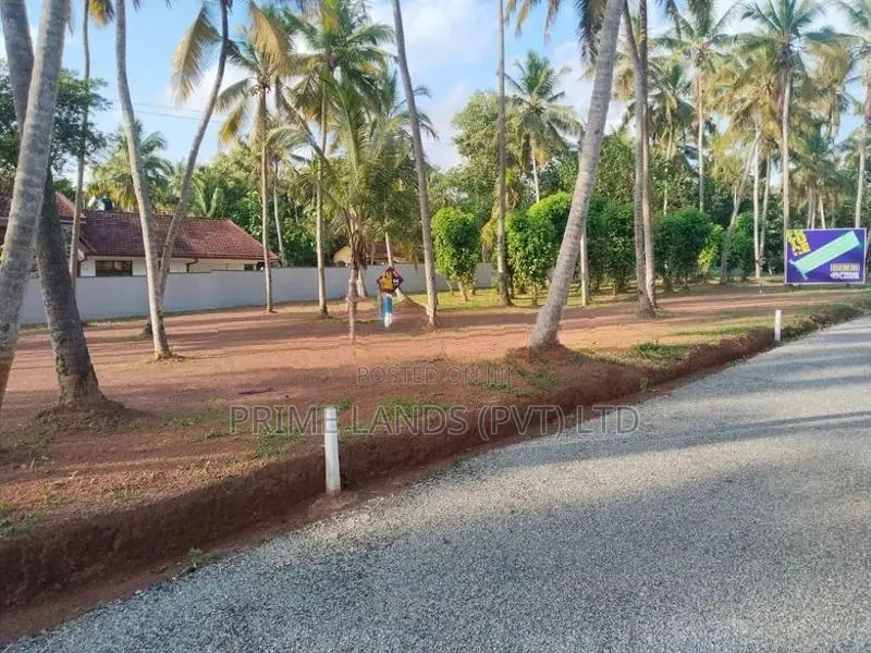 Land for Sale Kadana