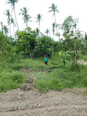 Land Sale Dagonna