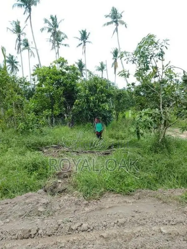 Land Sale Dagonna