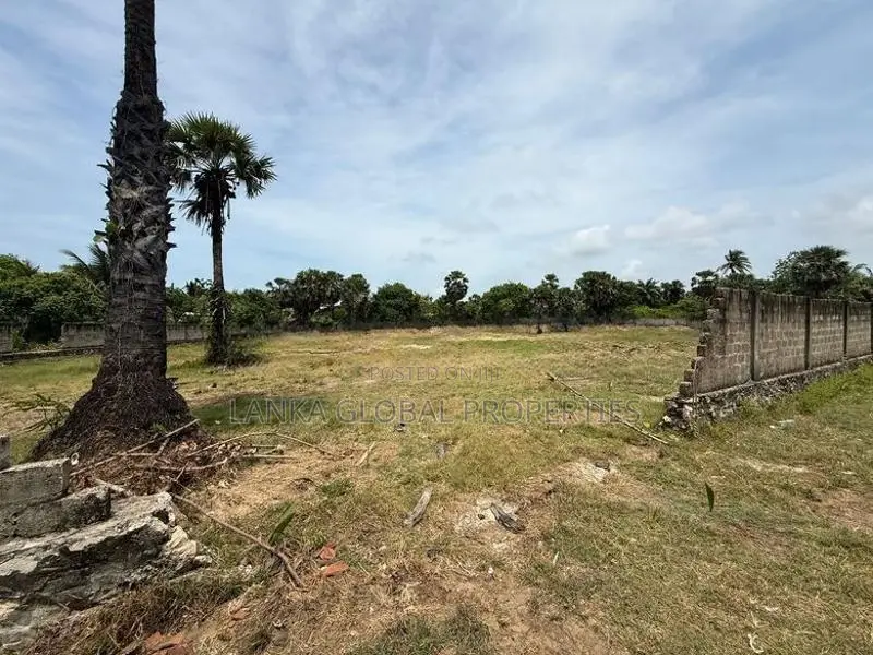 Land for Sale Jaffna