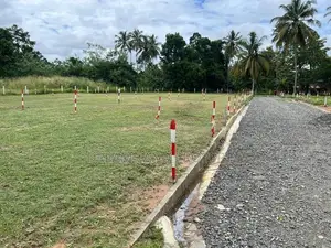 Land for Sale in Pothuhara Town