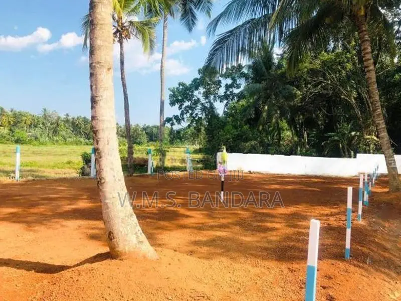 Developed residential land in pasyala p2