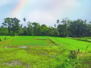 Near Dambadeniya Area Land for Sale P4