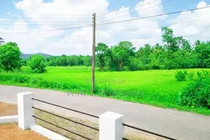Well Developed Residential Land for Sale in Dambadeniya P7