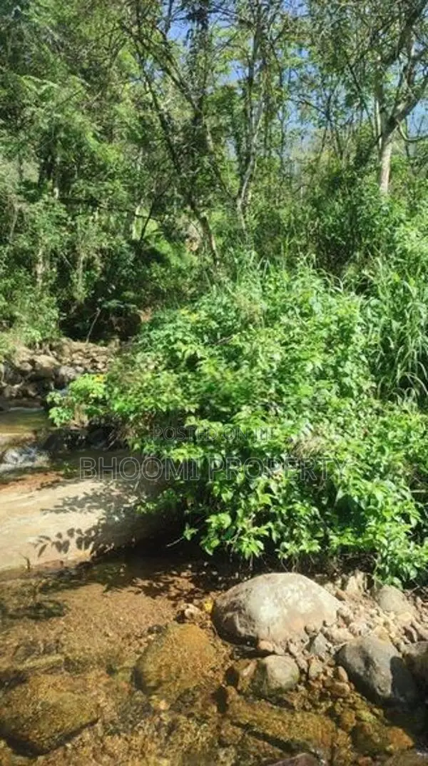 Land for Sale in Haputhale