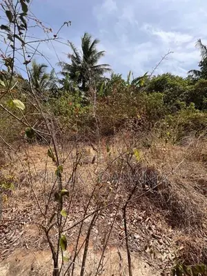 සෙල්ලකතරගමින් අගනා ඉඩමක් විකිණීමට – පූජා භූමියට ඉතා ආසන්නයි
