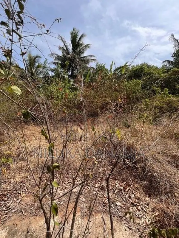 සෙල්ලකතරගමින් අගනා ඉඩමක් විකිණීමට – පූජා භූමියට ඉතා ආසන්නයි