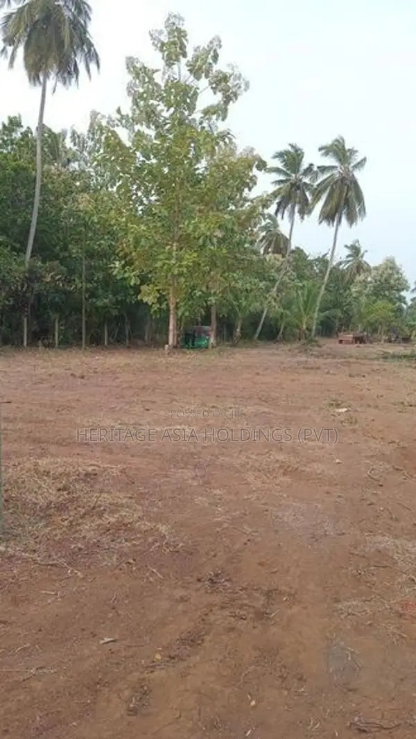 පෙරිමියන්කුලම පර්ච් 10 සින්නක්කර බිම් කොටස්