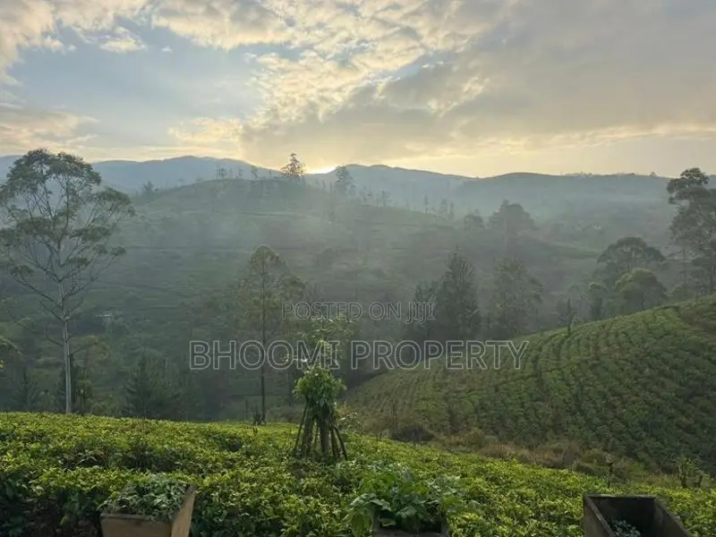 Beautiful Houses For Sale In Rozella