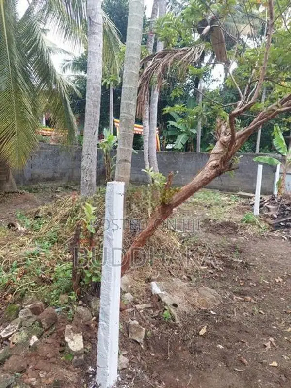 Land for Sale - Wellampitiya