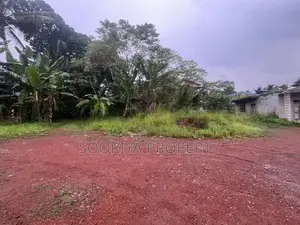 Piliyandala Town Area Commercial Land for Rent