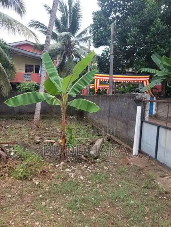 Land for Sale - Wellampitiya