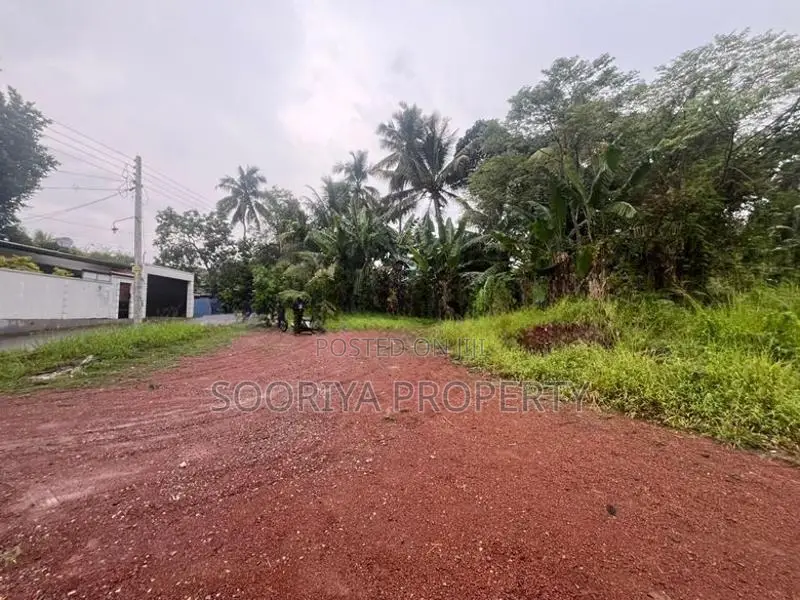 Piliyandala Town Area Commercial Land for Rent