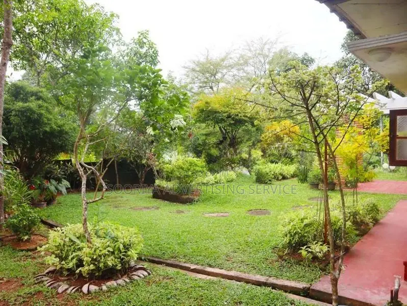 Prime Property for Sale in Ambalangoda