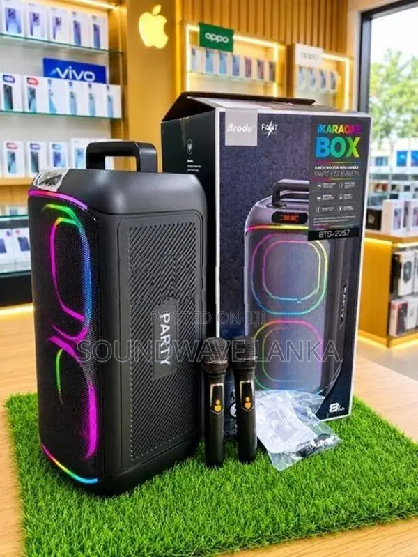 brodu karaoke party speaker