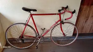 Moser Bicycle