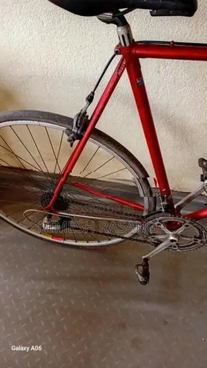 Moser Bicycle