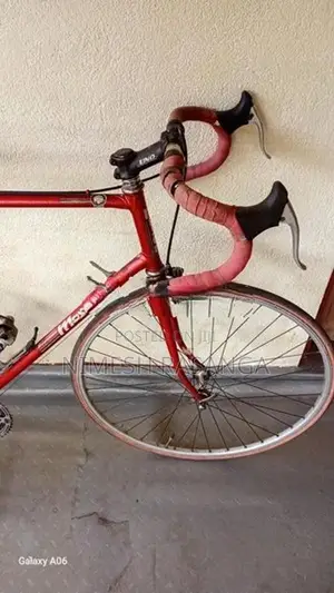 Moser Bicycle