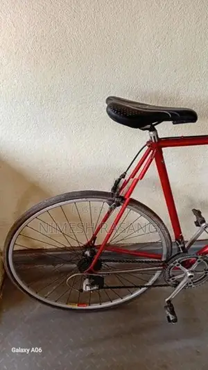 Moser Bicycle