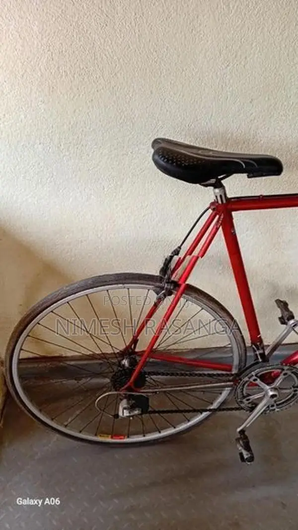 Moser Bicycle