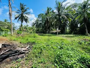 Residential Land for Sale in Bandaragama