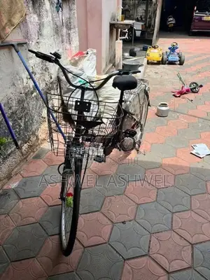Lumala Bicycle