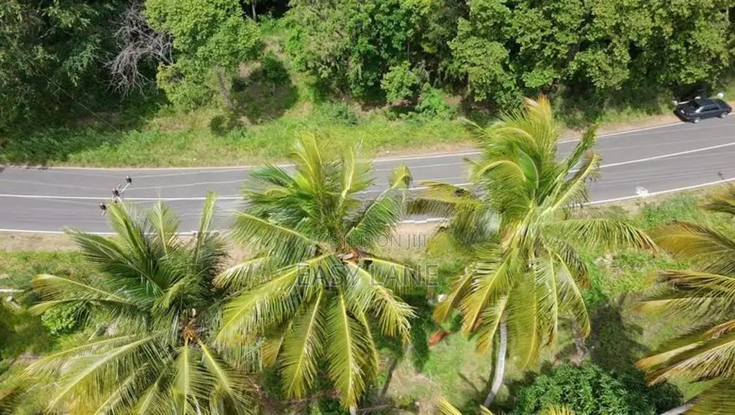 කුරුණෑගල – මොරගොල්ලාගම පර්චස් 90 ක පොල් ඉඩමක් / SA 11395