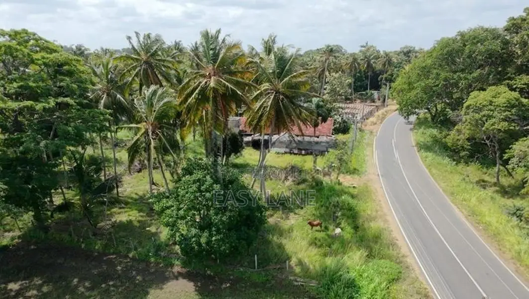 කුරුණෑගල – මොරගොල්ලාගම පර්චස් 90 ක පොල් ඉඩමක් / SA 11395