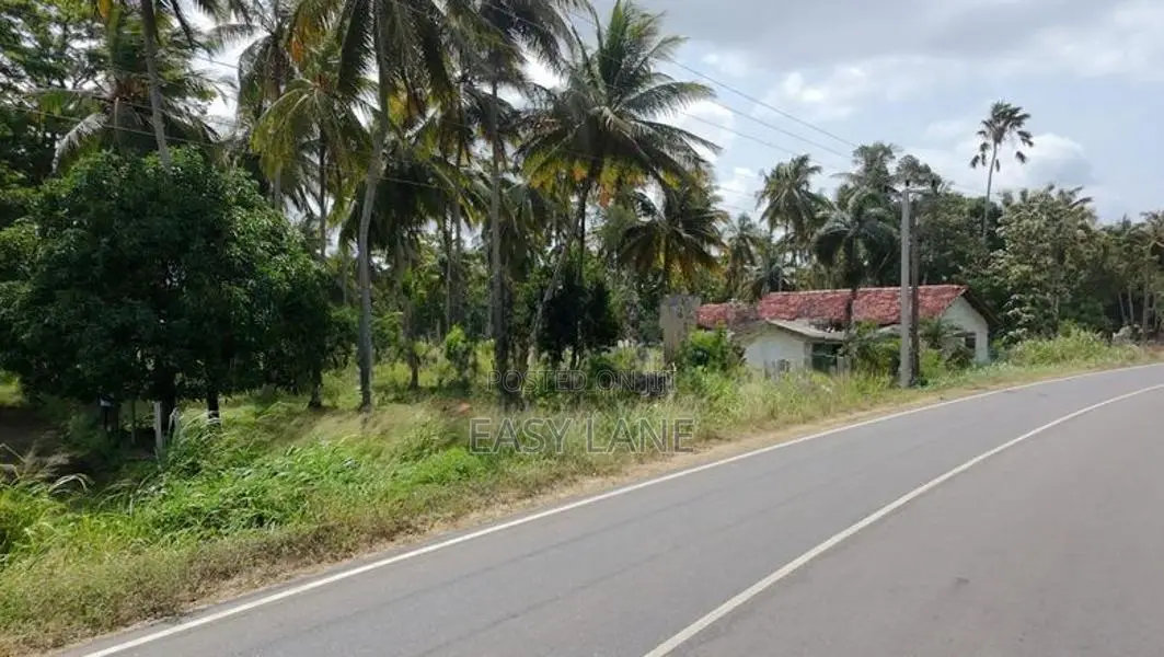 කුරුණෑගල – මොරගොල්ලාගම පර්චස් 90 ක පොල් ඉඩමක් / SA 11395