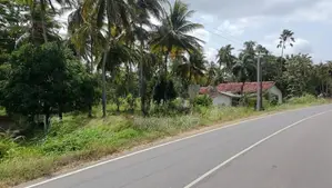 කුරුණෑගල – මොරගොල්ලාගම පර්චස් 90 ක පොල් ඉඩමක් / SA 11395