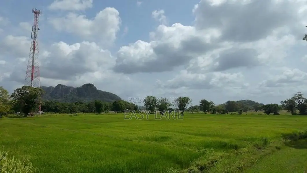 කුරුණෑගල – මොරගොල්ලාගම පර්චස් 90 ක පොල් ඉඩමක් / SA 11395