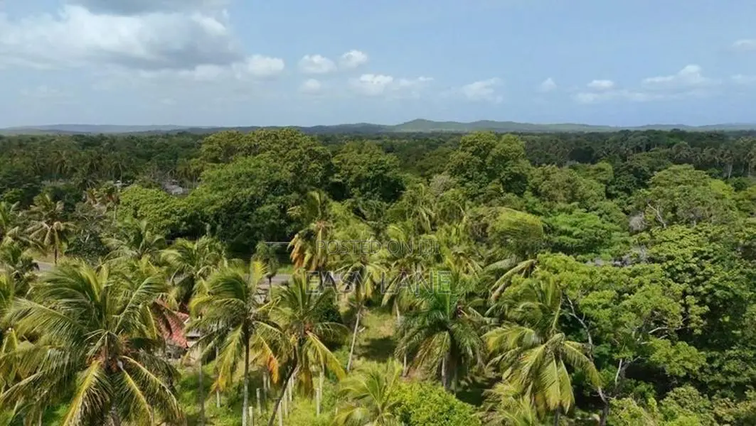 කුරුණෑගල – මොරගොල්ලාගම පර්චස් 90 ක පොල් ඉඩමක් / SA 11395