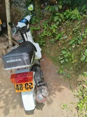 Suzuki mollet 2023