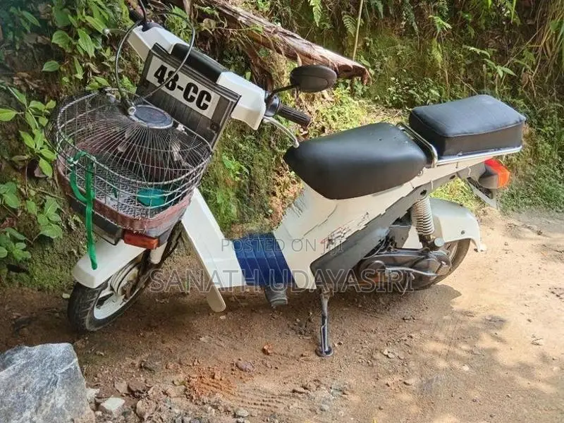 Suzuki mollet 2023