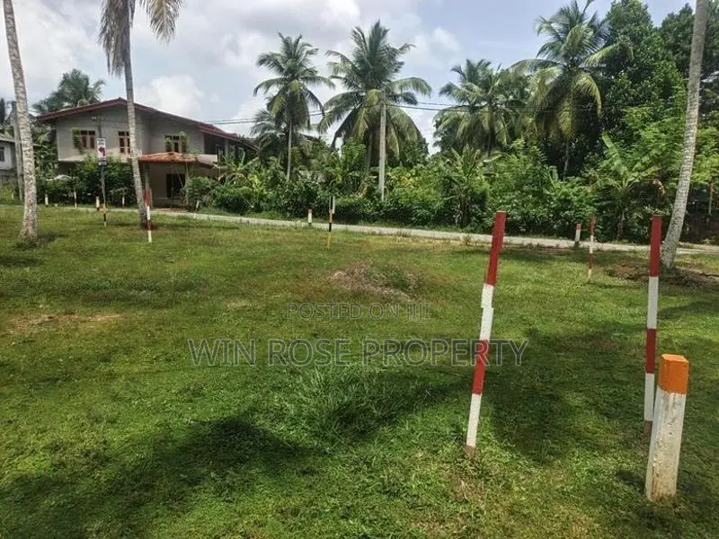 අගනා බිම් කොටස් යක්කල