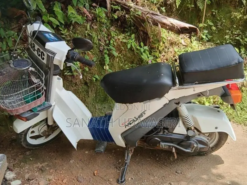 Suzuki mollet 2023