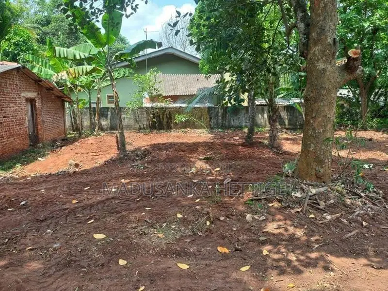 Land for Sale Anuradhapura