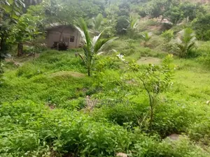 Large Land for Sale Near Kurunegala Town