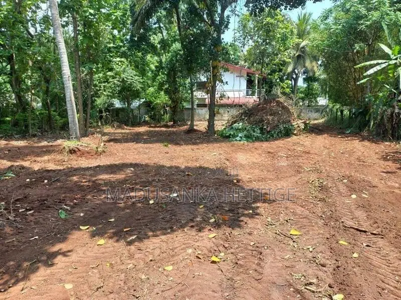 Land for Sale Anuradhapura