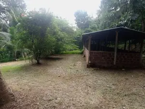 Large Land for Sale Near Kurunegala Town