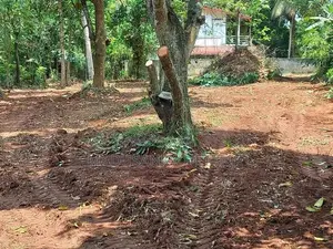 Land for Sale Anuradhapura