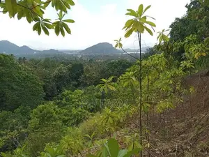 Large Land for Sale Near Kurunegala Town