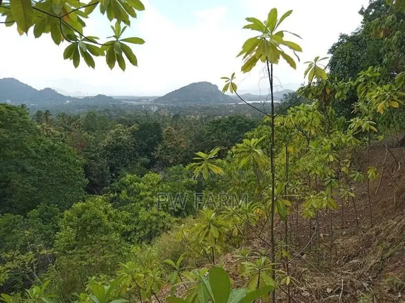 Large Land for Sale Near Kurunegala Town