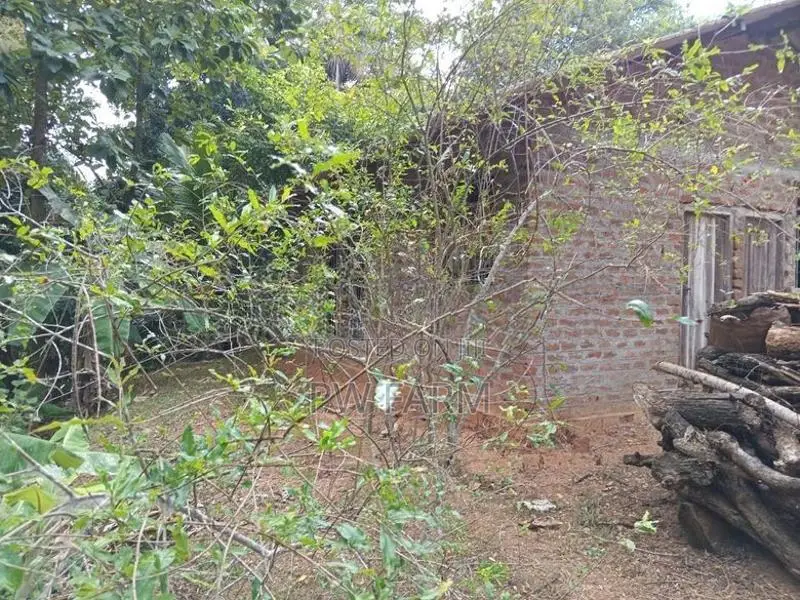 Large Land for Sale Near Kurunegala Town