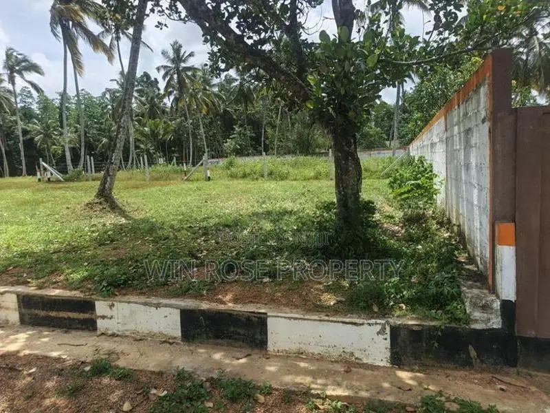 වටිනා ඉඩමක් යක්කල